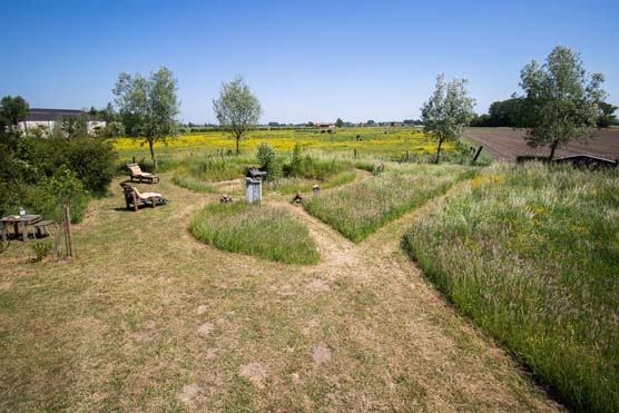 Puur genieten in de landschapstuin van Lappersfort